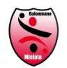 Balonmano Mislata